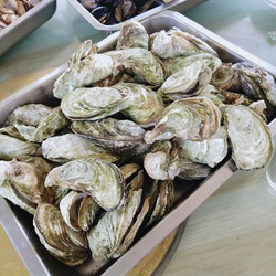 蜜桃一区内容展示界面